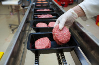 Oferta pracy w Niemczech przy pakowaniu mięsa bez języka w Heilbronn 2017