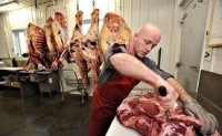 Rzeźnik wykrawacz – praca Niemcy na produkcji mięsnej Heilbad-Heiligenstadt
