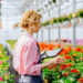 sadzenie kwiatow praca ogrodnictwo Niemcy 2023