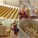 pakowanie-produkcja-cukierkow