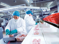 Niewymagany język praca Niemcy dla kobiet pakowanie mięsa Rheda-Wiedenbrück