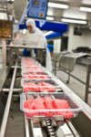 Praca w Niemczech pakowanie mięsa bez języka od zaraz Rheda-Wiedenbrück