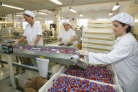 Od zaraz Niemcy praca przy produkcji słodyczy bez znajomości języka i doświadczenia