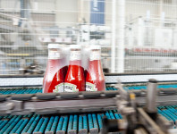 Ogłoszenie pracy w Niemczech produkcja keczupu od zaraz bez języka Düsseldorf
