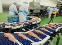 Niemcy praca pakowanie mięsa drobiowego bez języka w Rheda-Wiedenbrück