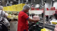 Oferta pracy w Niemczech od zaraz pakowanie słodyczy bez znajomości języka Gotha