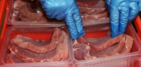 Bez języka praca w Niemczech przy pakowaniu mięsa od zaraz Möckmühl z zakwaterowaniem