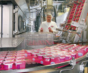 Ogłoszenie pracy w Niemczech od zaraz produkcja jogurtów bez języka Stuttgart