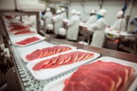 Praca w Niemczech od zaraz przy pakowaniu mięsa w Blumberg 2018