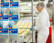 Dla par Niemcy praca bez znajomości języka pakowanie sera od zaraz Coburg 2021
